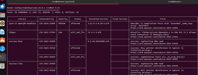 keycloak-rc-26.0.1