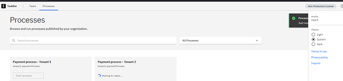 User1-tenant2-paymentProcess start