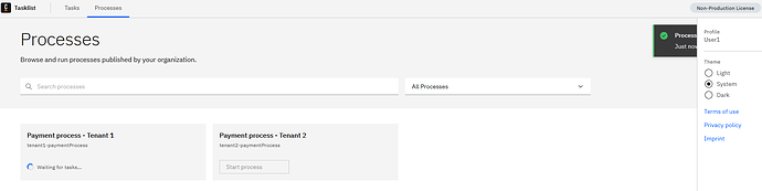 User1-tenant1-paymentProcess start